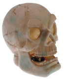 Shop4Omni Halloween Decoration with Motion Activated Lights and Sound