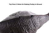 Collapsible Lifelike Foam Hen Turkey Hunting Decoy 28" Long -Stakes Not Included