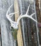 Do-All Outdoors - The Iron Buck Antler Mount