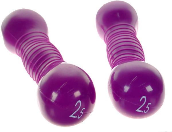 BodyFit 5lb/2.3kg Workout Weighted Grip Sticks - Purple