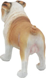 Ebros Wilfred The English Bulldog Statue 8" L Adorable Bulldog Decorative Figurine Sculpture