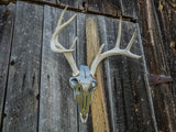 Do-All Outdoors - The Iron Buck Antler Mount