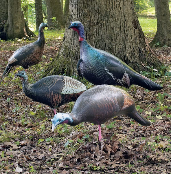 CHEROKEE 4 Ultimate Turkey Decoys