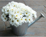 Gardman 8349 Galvanized Steel Watering Can Planter