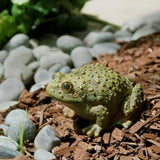 Alpine Frog Statue, 4 Inch Tall