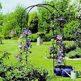 Gardman R350 3'3" X 6'3" Rose Garden Arch Outdoor Archway