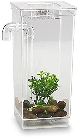 As Seen On TV 56028 My Fun Fish Tank, 4 3/4 x 6 x 10-Inch